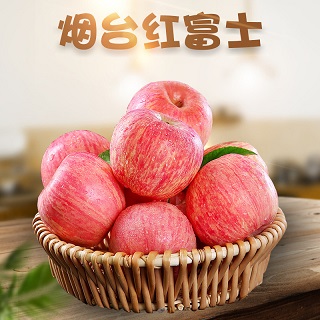 全年供应山东烟台栖霞红富士应季新鲜孕妇水果非丑苹果